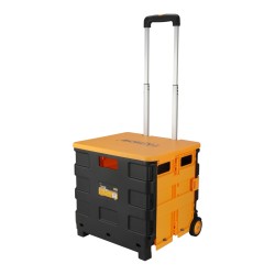 Carro de Compras con Tapa