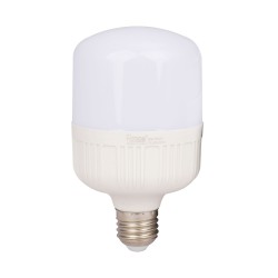 Bombilla LED de 20W